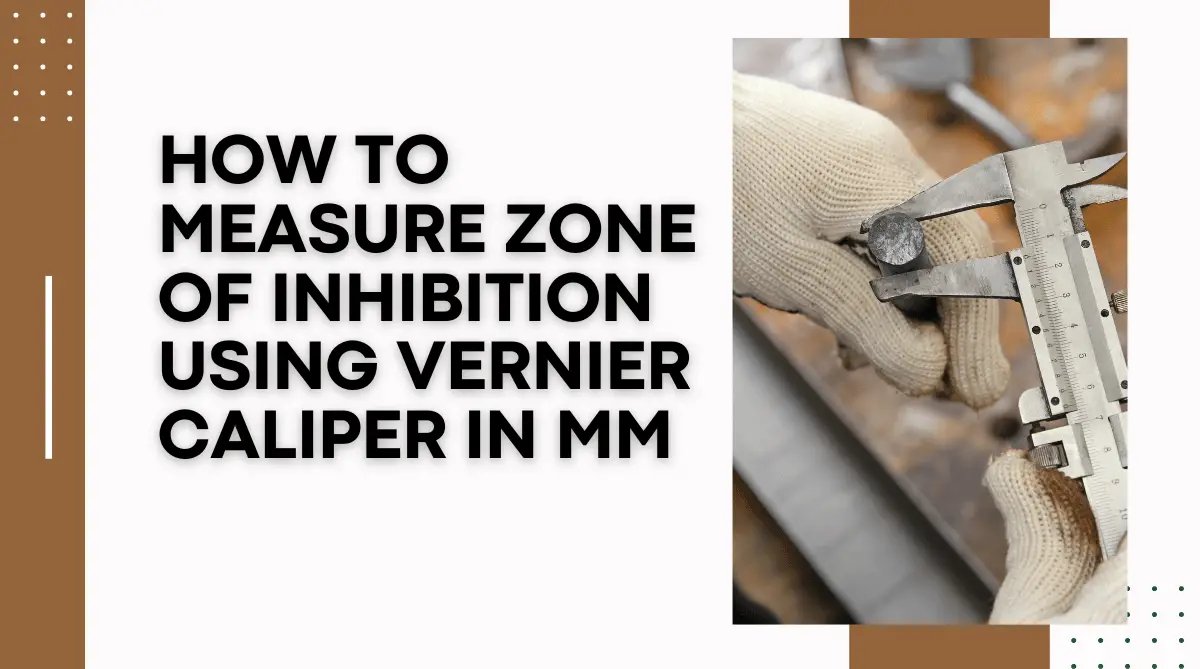 How to Measure Zone of Inhibition Using Vernier Caliper in mm.